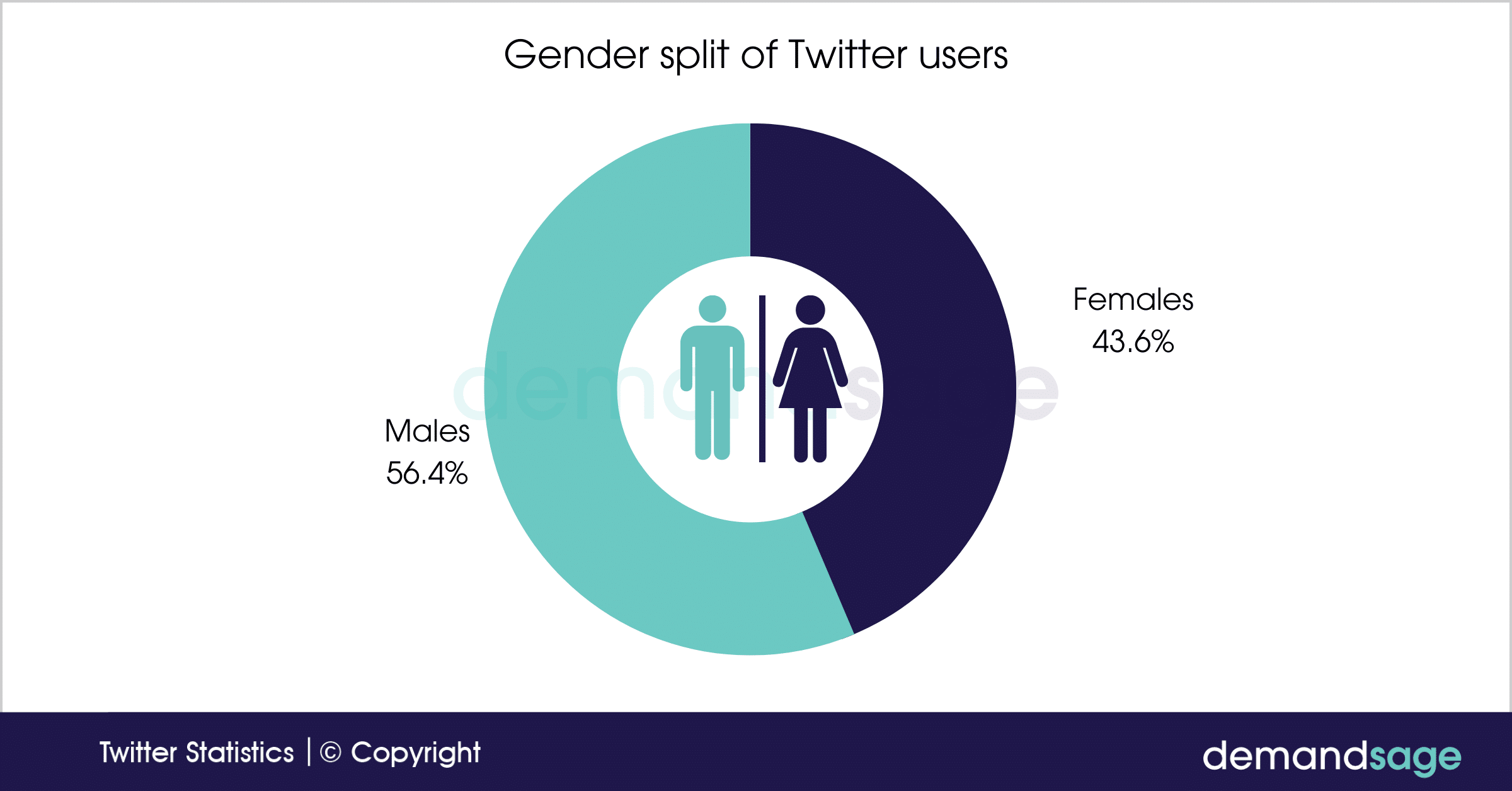 Twitter Users Gender Split