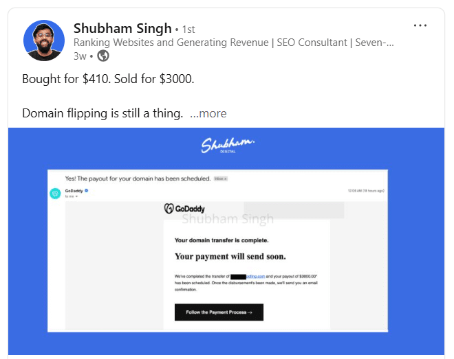 Expired Domain flipping story