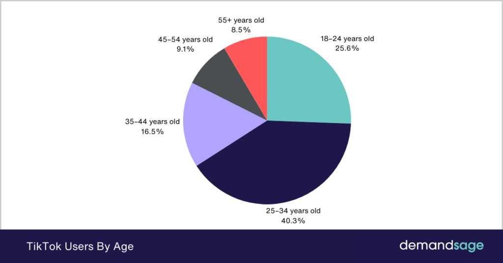 TikTok Users By Age TikTok Users By Age